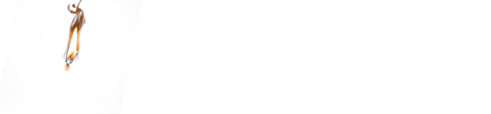 silentcandlewhite Letters to Mae