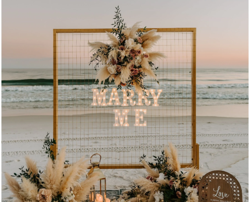 proposal+2